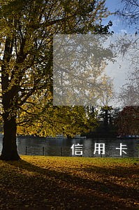 信用卡15个月逾期 贷款 信用卡15个月逾期 贷款